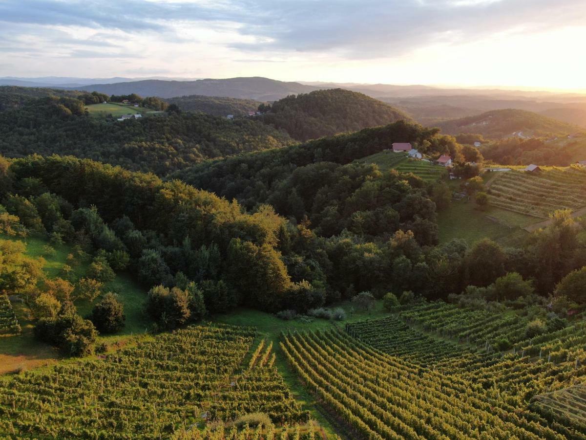 Vineyard Cottage Urban Mirna Екстериор снимка